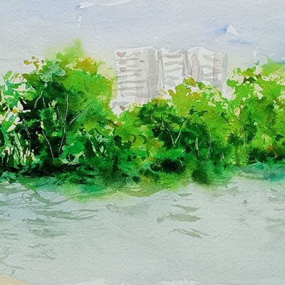 Nace IWS Colombia, Capítulo Barranquilla: Acuarelas que nacen entre manglares y&nbsp;Maestros